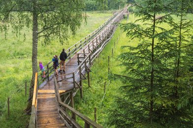 Līgatne Nature Trails